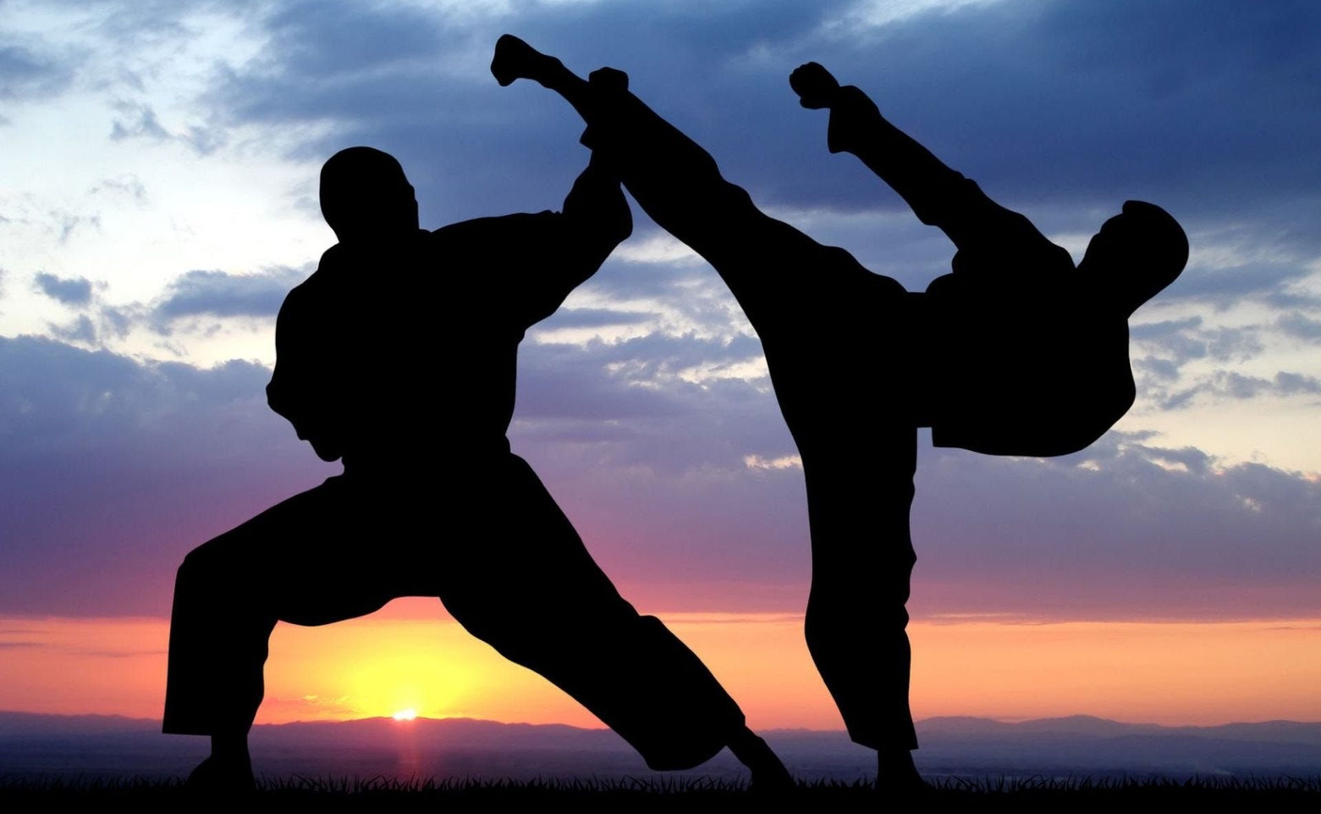 A National Coalition of Martial Art Federations